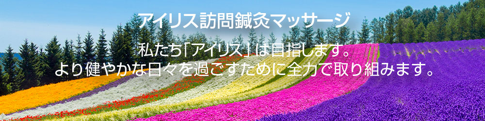 アイリス訪問鍼灸マッサージ。私たち「アイリス」は目指します。より健やかな日々を過ごすために全力で取り組みます。